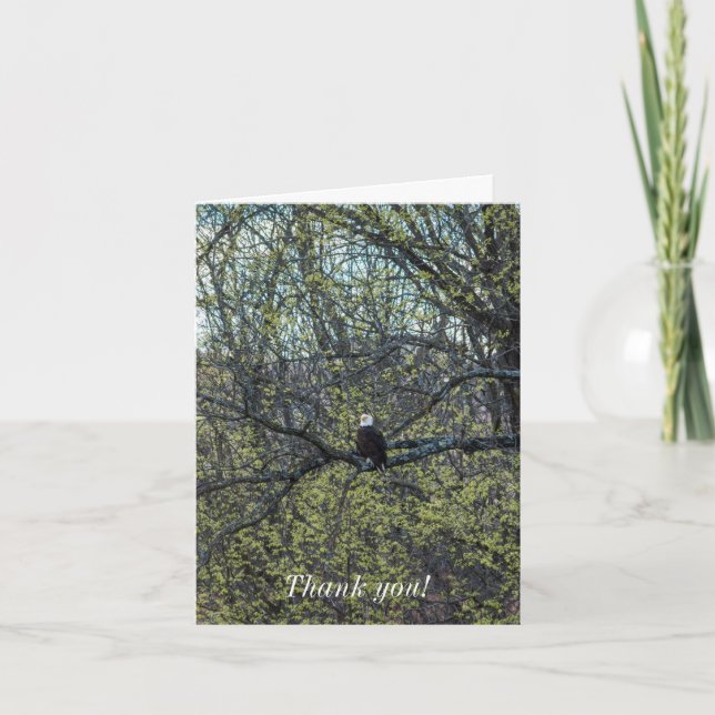 Öagles medvetenhet kort (Framsida)