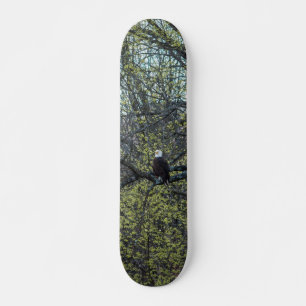 Öagles medvetenhet old school skateboard bräda 18 cm