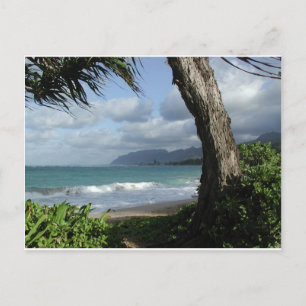 Oahu Beach Vykort