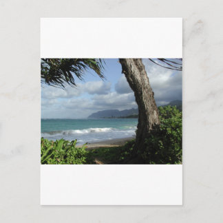 Oahu Beach Vykort