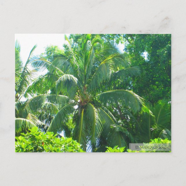 OAHU,HAWAII #17 POSTCARD VYKORT (Framsida)