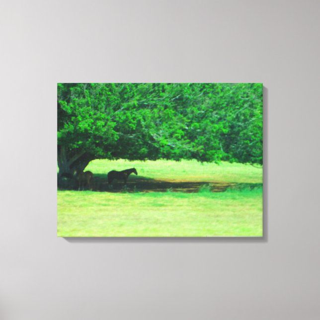 OAHU HAWAII #18 CANVAS (Framsida)