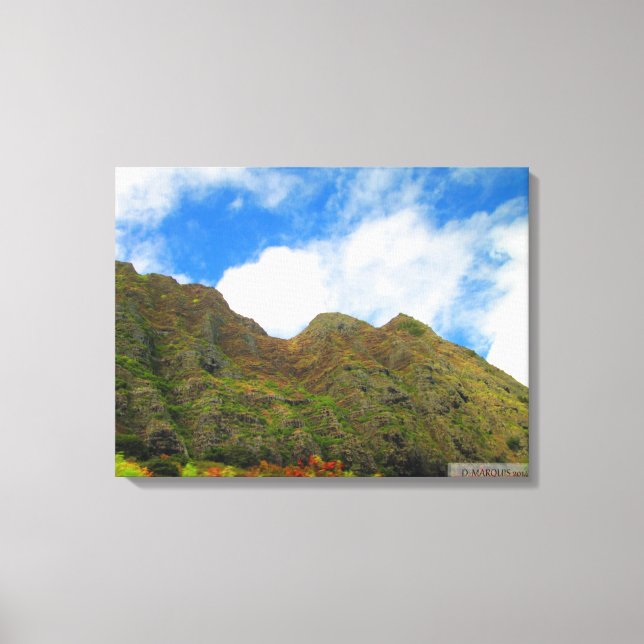 OAHU HAWAII #20 CANVAS (Framsida)
