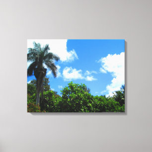 OAHU HAWAII #22 CANVAS