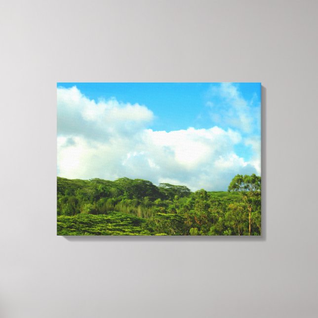 OAHU HAWAII #23 CANVAS (Framsida)