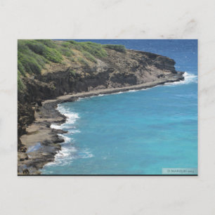 OAHU,HAWAII#4 POSTCARD VYKORT
