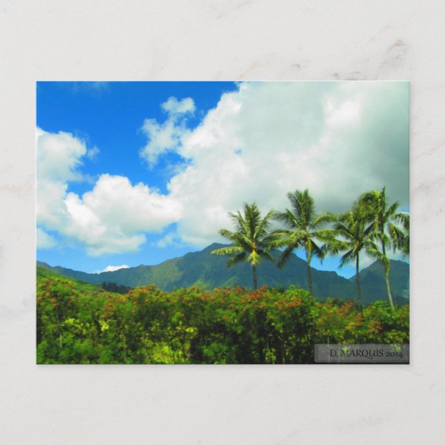 OAHU,HAWAII#6 POSTCARD VYKORT (Framsida)