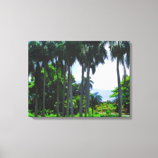 OAHU HAWAII #9 CANVAS (Framsida)
