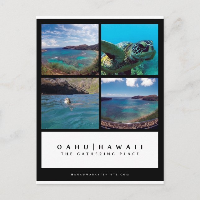 Oahu Hawaii Hanauma Bay-vykort Vykort (Framsida)