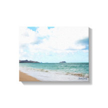 Oahu Hawaii Ocean Vågar & Beach