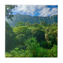 Oahu, Hawaii Rainforest Kakelplatta