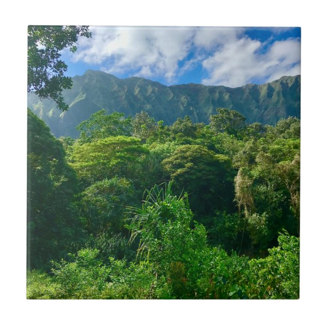 Oahu, Hawaii Rainforest Kakelplatta (Framsidan)