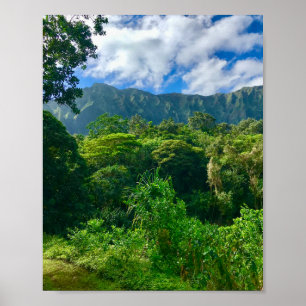 Oahu, Hawaii Rainforest Poster