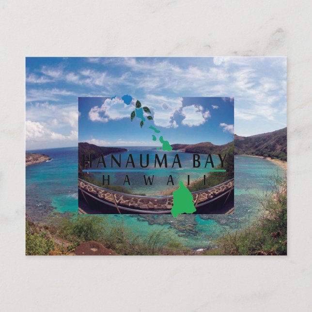 Oahu Island Turtle Vykort (Framsida)