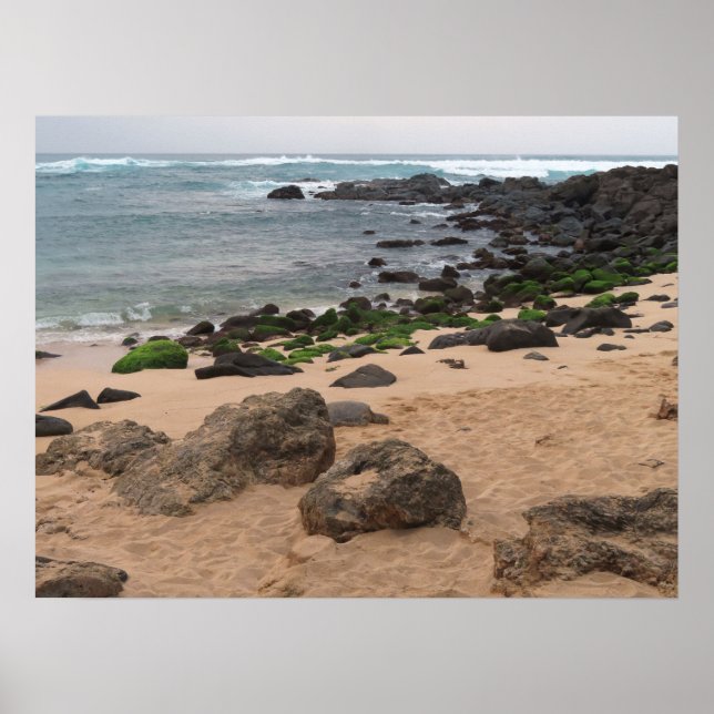Oahu's North Shore and Sea Turtle  Poster (Framsidan)