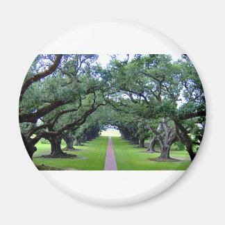 Oak Alley Magnet