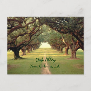 Oak Alley New Orleans vykort