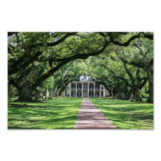 Oak Alley Plantation Fototryck