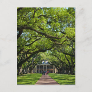 Oak Alley Plantation House Vykort