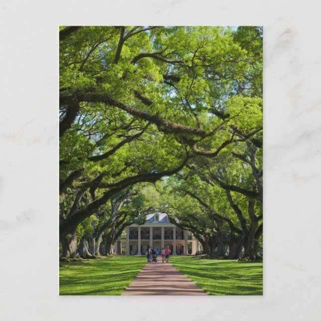 Oak Alley Plantation House Vykort (Framsida)