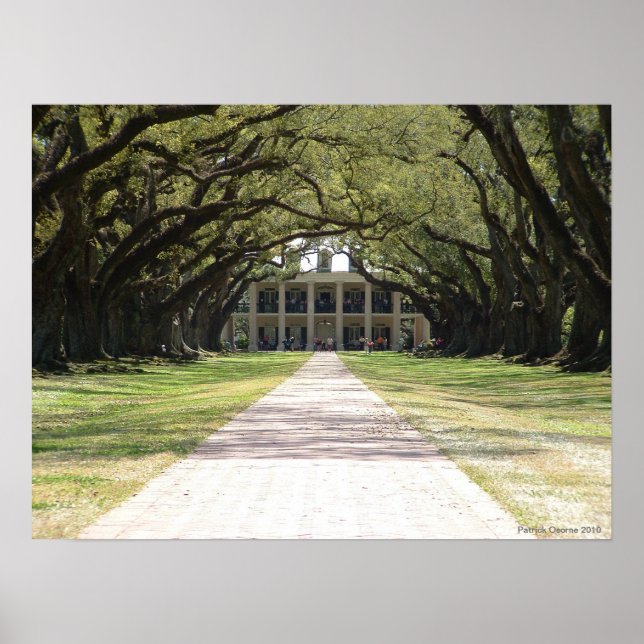 Oak Alley Plantation Poster (Framsidan)