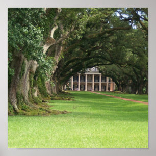 Oak Alley Plantation Poster