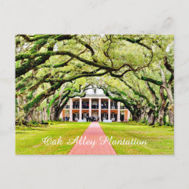 Oak Alley Plantation Vykort