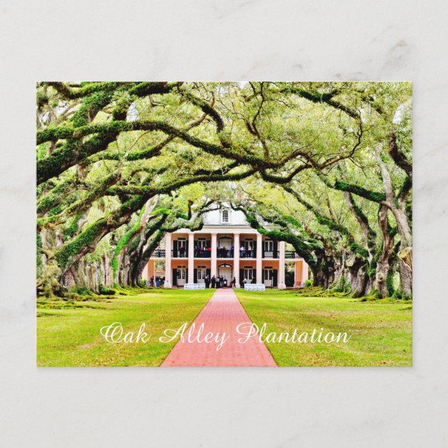 Oak Alley Plantation Vykort (Framsida)