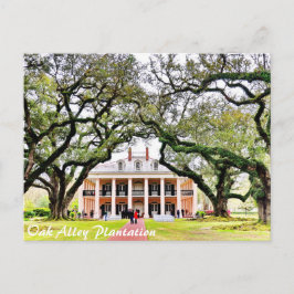 Oak Alley Plantation Vykort