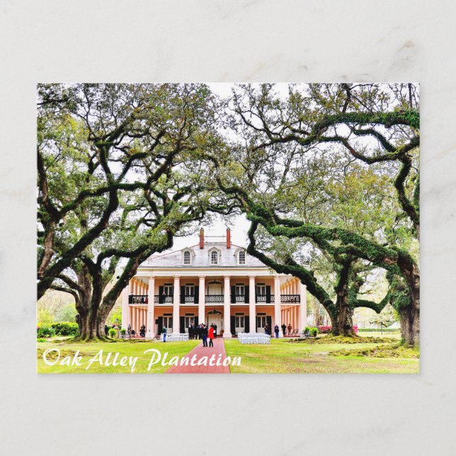 Oak Alley Plantation Vykort (Framsida)