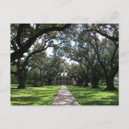Oak Alley Plantation Vykort
