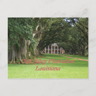 Oak Alley PlantationLouisiana Vykort