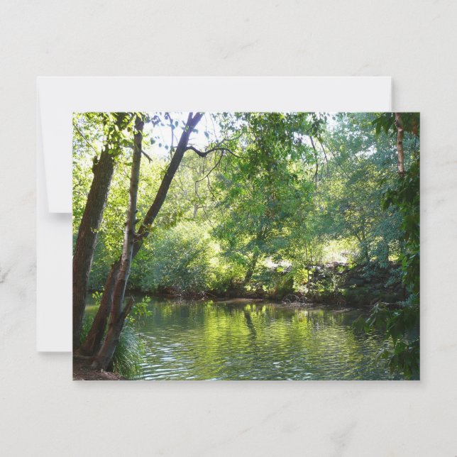 Oak Bäck I i Sedona Arizona naturfotografi (Framsida)