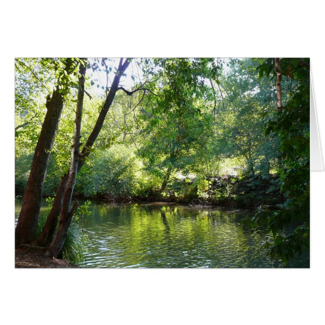 Oak Bäck I i Sedona Arizona naturfotografi Hälsningskort (Framsidan Horizontal)