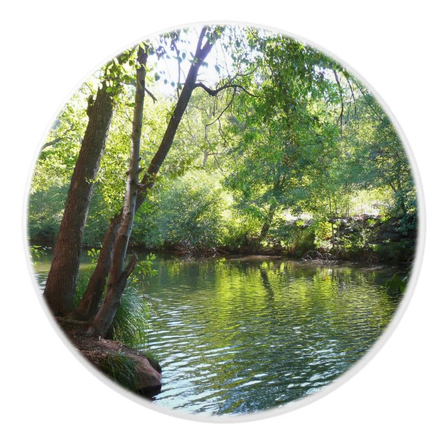 Oak Bäck I i Sedona Arizona naturfotografi Knopp (Framsidan)