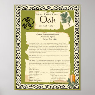 OAK CELTIC HELIG TRÄD POSTER