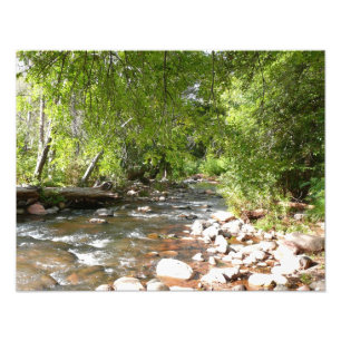 Oak Creek II i Sedona Arizona Naturfotografi Fototryck