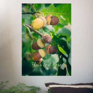 Oak grenar med akorrar poster