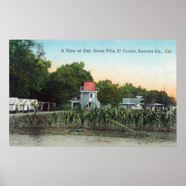 Oak Grove Villa SceneEl Verano, CA Poster (Framsidan)