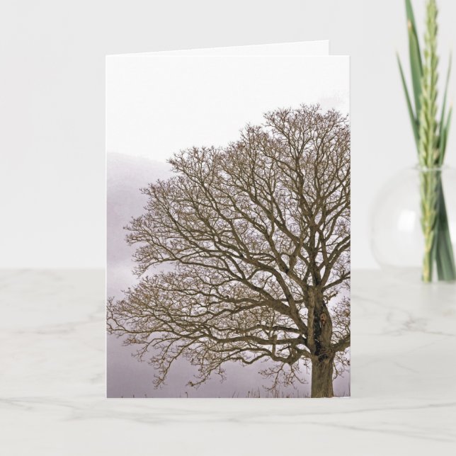 Oak i vinter 1 helgkort (Framsida)