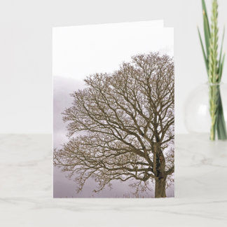 Oak i vinter 1 helgkort