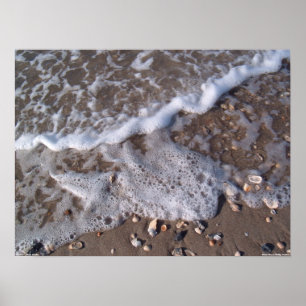 Oak Island, North Carolina - sand och snäckor Poster