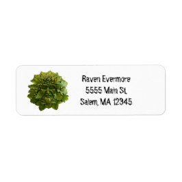 Oak Kung Returadress Etikett