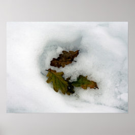 Oak löv i kanvastrycket med snö-helgdag-kort poster