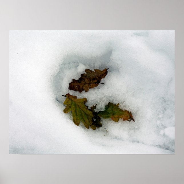 Oak löv i kanvastrycket med snö-helgdag-kort poster (Framsidan)