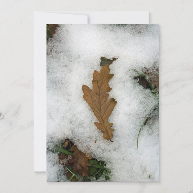 Oak löv ljuger i helgdag-kortet snö julkort (Framsida)