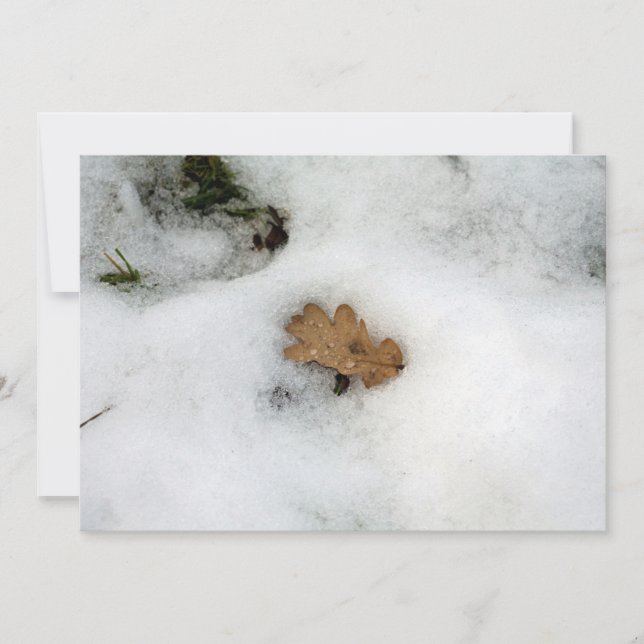 Oak Löv ljuger i Helgdag-kortet snö Julkort (Framsida)