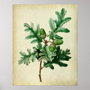 Oak Löv nr 5 Farmhouse Wall Decor Poster