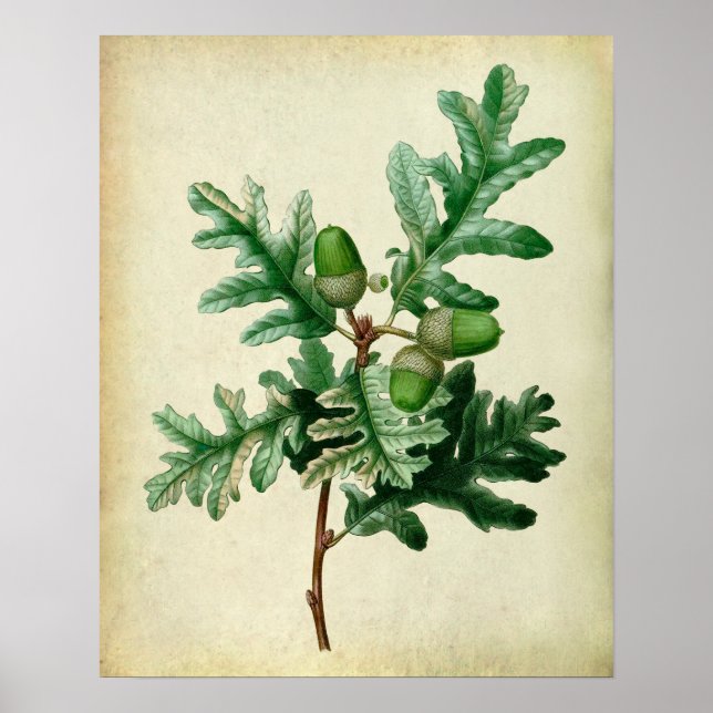Oak Löv nr 5 Farmhouse Wall Decor Poster (Framsidan)