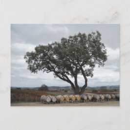 Oak med Vin Barrels, Doce Robles Vykort